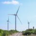 ‘Tamaulipas aspira a ser el principal estado productor de energía eólica de México’: secretario de Energía