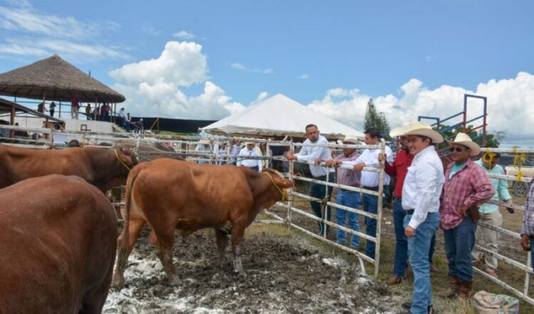 Reitera gobierno estatal su compromiso con el sector ganadero de Tamaulipas