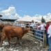 Reitera gobierno estatal su compromiso con el sector ganadero de Tamaulipas