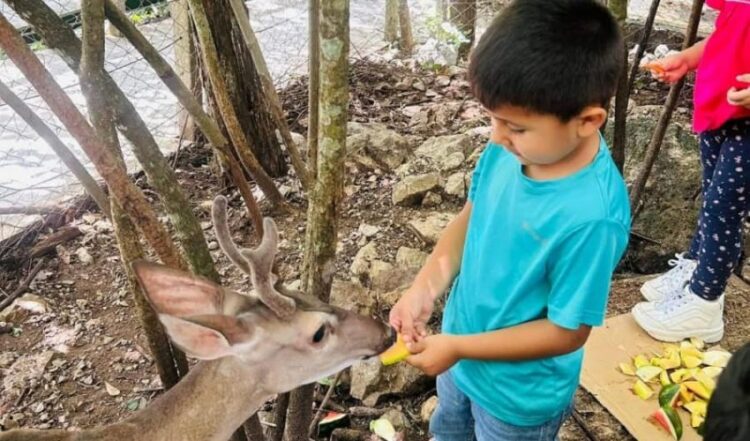 Comisión de Parques y Biodiversidad de Tamaulipas genera guardianes de la naturaleza