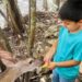Comisión de Parques y Biodiversidad de Tamaulipas genera guardianes de la naturaleza