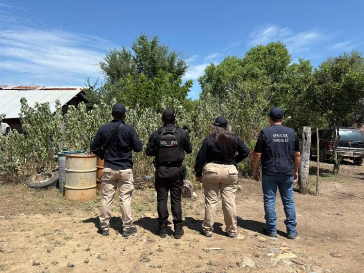 Policías estatales catean inmueble y rescatan hembra con cachorros maltratados en ejido de Hidalgo