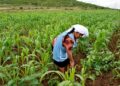 Impulsan convenio para apoyar a mujeres en el ámbito rural de Tamaulipas