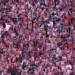 Fanáticos del Atlas matan a aficionado de Chivas y hieren a otros 2 previo al encuentro de esta noche