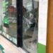Dirigentes de comercio formal e informal desmienten a Gattás ¡Nadie para ola de robos en Victoria!