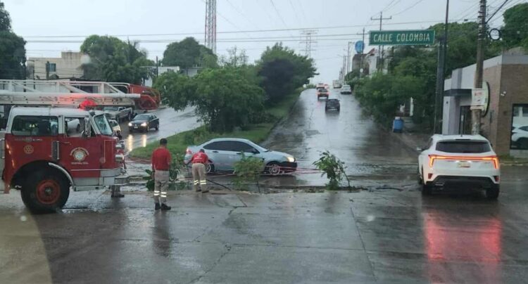 Urgen a gobierno de Mónica Villarreal concentrarse en socavones y baches que carcomen a Tampico