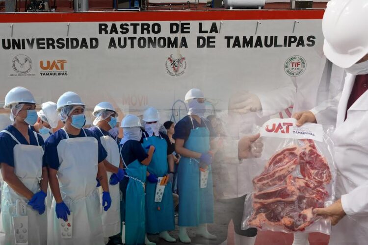 Rastro TIF de la UAT producirá carne para el mercado internacional