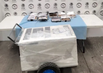 La FGR investiga distribución de narcóticos por paquetería en Michoacán; perros hallan casi 10 kilos