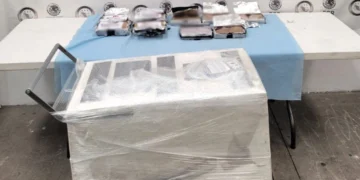 La FGR investiga distribución de narcóticos por paquetería en Michoacán; perros hallan casi 10 kilos