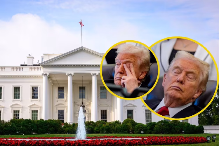 Culpa Trump a aspirina de causarle grandes moretones en las manos; niega quedarse dormido ante la prensa