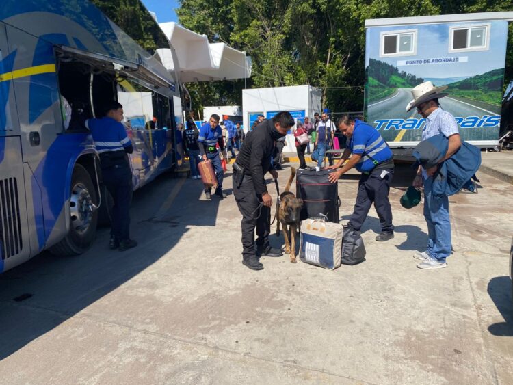 Guardia Estatal refuerza vigilancia con binomios caninos en la Central de Autobuses de Victoria
