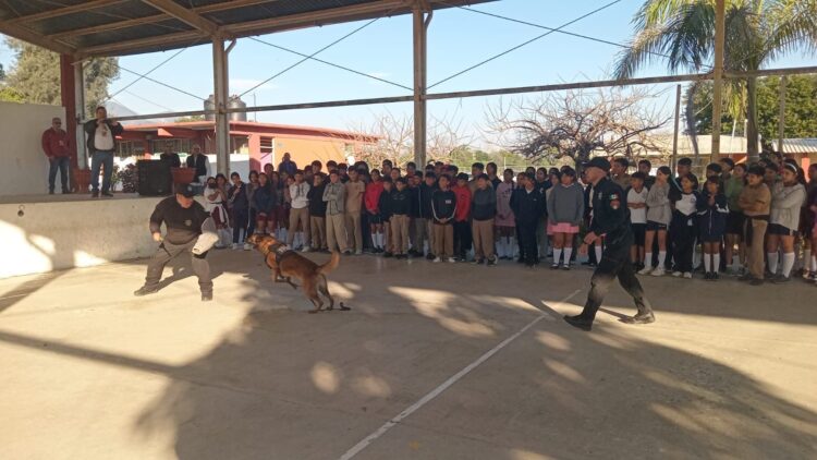 Con binomio canino antidrogas la Guardia Estatal refuerza la prevención en escuelas 