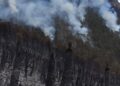Reporta CEMF que incendio forestal de ejido de Miquihuana sigue activo y con 90% de control