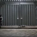 Capturan en Jalisco a operador del CJNG que trasladó a pareja de ‘El Mencho’ a Tapalpa