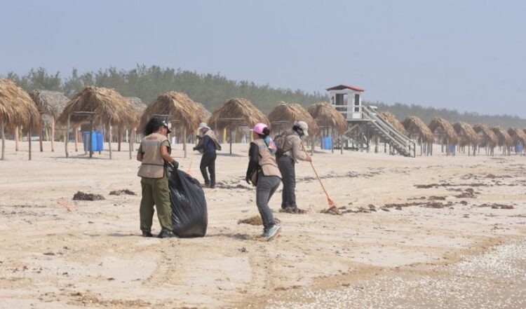 Suma Tamaulipas esfuerzos con la Federación para conservar playas y costas