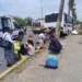 Suspenden a 3 choferes de micros; uno consumía enervantes, otro alcohol y en Victoria al que chocó con palmera