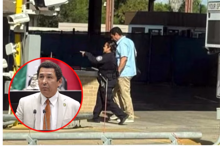 El PVEM se deslinda de ‘La Borrega’ y le pide hacer denuncias formales y no mediáticas