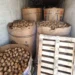 Entre cargamento de jícamas la FGR asegura en un camión casi una tonelada de metanfetamina en Durango