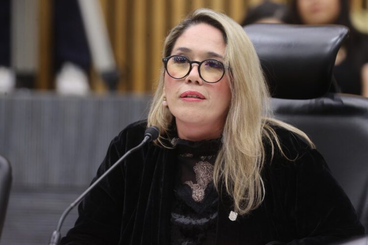 Advierte consejera el enorme desafío financiero que implica para el INE organizar las elecciones