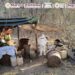 La SSPC anuncia inhabilitación de 5 laboratorios clandestinos de metanfetamina en Jalisco, Nayarit y Sinaloa