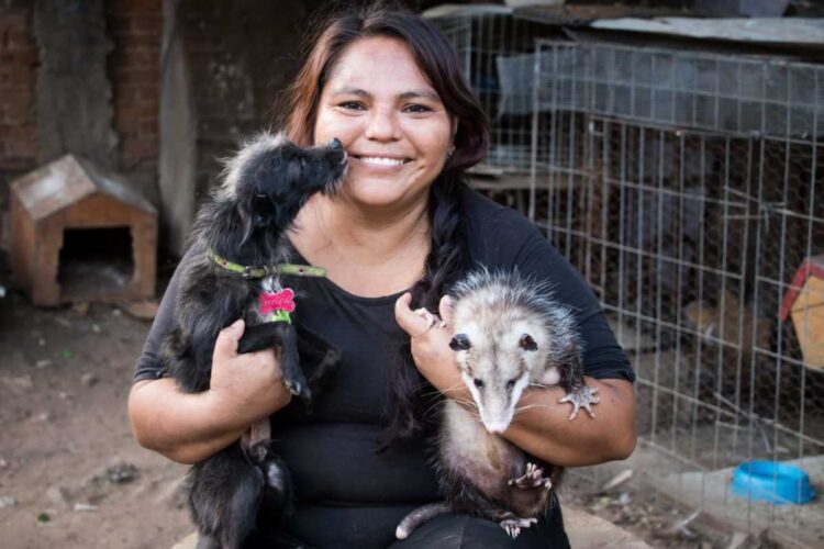 Alertan animalistas: Gusano barrenador ataca a mascotas y no se sabe qué hacer’; hay caso de un perro en Victoria