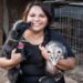 Alertan animalistas: Gusano barrenador ataca a mascotas y no se sabe qué hacer’; hay caso de un perro en Victoria