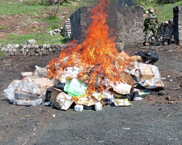 FGR lleva a cabo la incineración de más de 179 kilos de diversos narcóticos