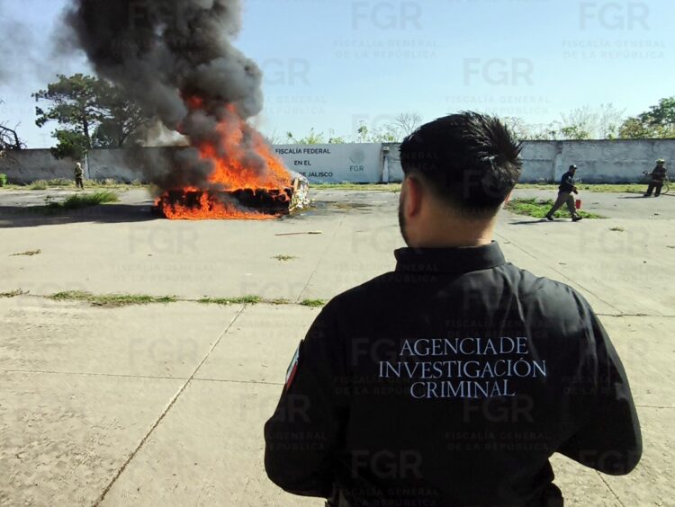 FGR incinera más de dos toneladas de narcóticos en Jalisco