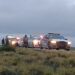 A través del programa Héroes Paisanos, la Guardia Estatal brinda seguridad a caravana de connacionales