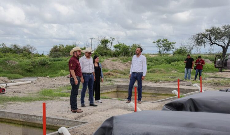 Exploran oportunidades para la producción de bioenergía en González