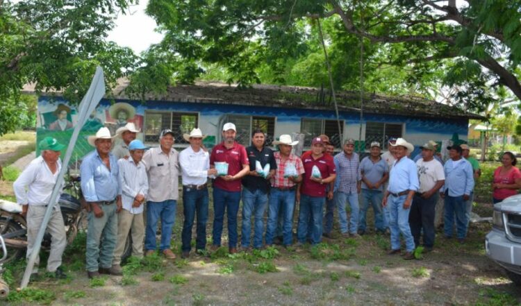 Con trabajo coordinado gobierno de Tamaulipas protege del gusano barrenador a becerros recién nacidos