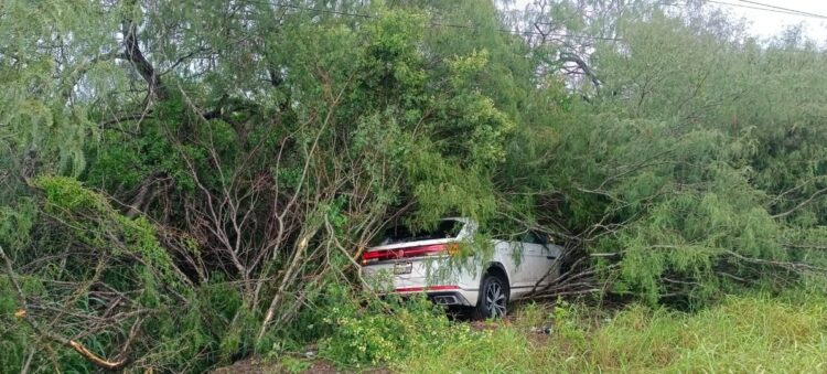Adulto y menor viajaban de SLP a EU y se meten a los matorrales en área de San Fernando