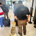 La FGR lleva a proceso a 2 detenidos con casi 50 kilos de clorhidrato de cocaína en Tijuana