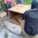 La FGR asegura en Durango un zoológico privado, 5 vehículos, 4 cuatrimotos y un remolque