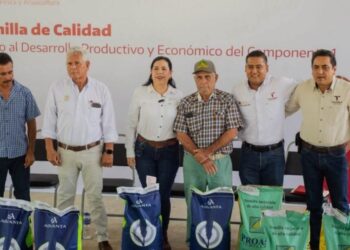 Fortalece Tamaulipas la producción agrícola con apoyos de semilla certificada