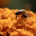 A solicitud de comunidad maya de Campeche SCJN  analizará reconocer a abejas como sujetos de derechos