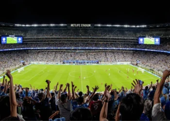 Vende la FIFA en 450 dólares pedazos del césped de la final del Mundial; pena no fía porque no hay