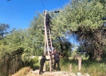 La Guardia Estatal asegura y retira una cámara de videovigilancia clandestina en Padilla