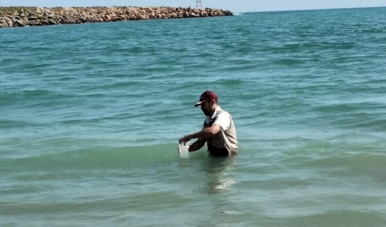 Confirman que playas de Tamaulipas son aptas y seguras para recibir a turistas en el verano 2026