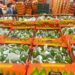 Envían primeras 40 toneladas de limón veracruzano a mercados de Estados Unidos y Rusia