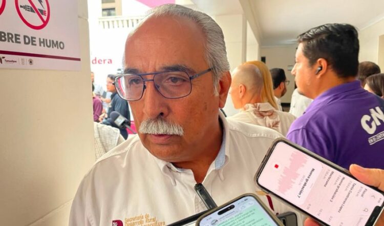 Se reducen en Tamaulipas casos activos de gusano barrenador; de 104 la suma se estaciona en 81