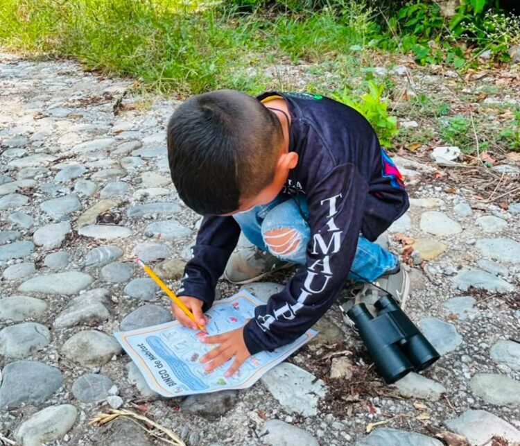 Fortalece Tamaulipas conservación de la Mariposa Monarca con participación en el Blitz Monarca 2026