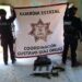Personal de la GE asegura armamento, municiones y ponchallantas en Díaz Ordaz