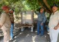 Bioinsumos abren camino a la recuperación de huertas citrícolas en Güémez