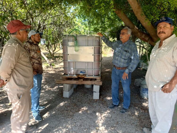 Bioinsumos abren camino a la recuperación de huertas citrícolas en Güémez