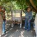 Bioinsumos abren camino a la recuperación de huertas citrícolas en Güémez