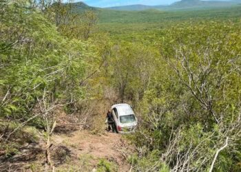 La GE auxilia a conductor que cayó a un barranco con todo y vehículo en tramo Llera-Victoria