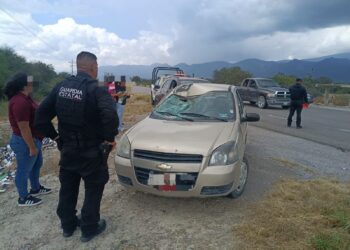 La conductora de un Chevy se estrella  con un caballo en el tramo Tula-Victoria y el equino murió en el lugar