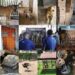 Sorpresa en el sur de Tamaulipas: Además de ‘huachicol’ hallan más de 150 animales exóticos en cateos