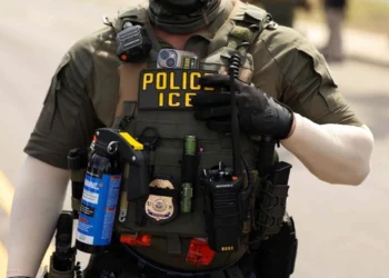 El ICE detiene en Texas a ex pelotero venezolano de los Padres de San Diego; es entrenador de receptores